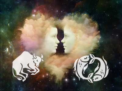 stier-fische Stier und Fische