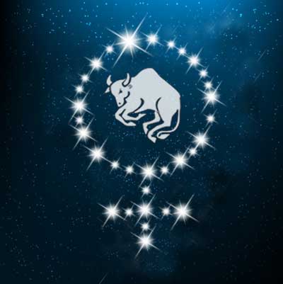 stier-frau Stier als Frau