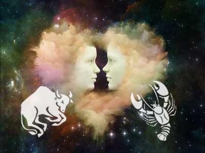 stier-krebs Stier und Widder