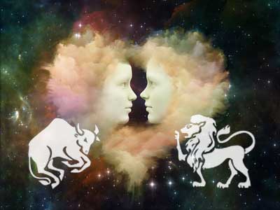 stier-loewe Stier und Löwe