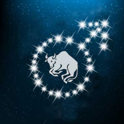 stier-mann Widder als Frau