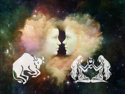 stier-zwillinge Stier und Widder