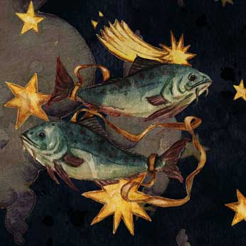 Fische Eigenschaften