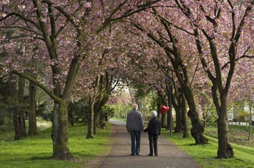 Paar zur Goldhochzeit