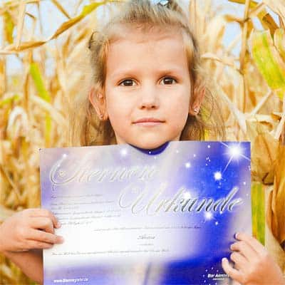 Acryl Stern Trophäe