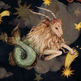 Steinbock Eigenschaften