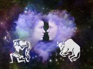 Wassermann und Stier